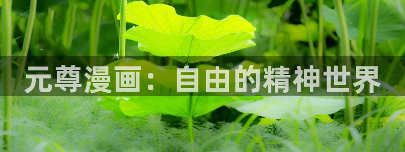 迷妹漫画破解