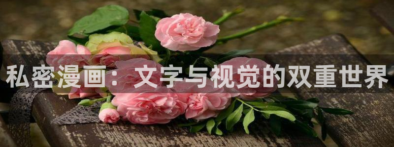 迷妹漫画mi